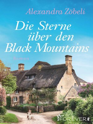 cover image of Die Sterne über den Black Mountains